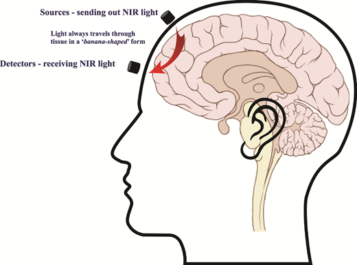 Figure 1. Refer to the image caption for details.