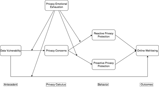 A flowchart illustrating relationships between privacy concepts, including Data Vulnerability, Privacy Concerns, Reactive and Proactive Privacy Protection, and Online Well-being.