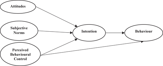 Figure 1 Refer to the image caption for details.