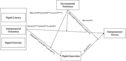 A diagram showing the relationships between digital literacy, entrepreneurial orientation, digital networks, environmental turbulence, digital innovation, and entrepreneurial success.