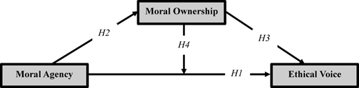 A flowchart illustrating the relationships between moral agency, moral ownership, and ethical voice.