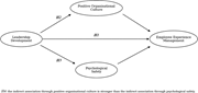 A conceptual model links leadership development with employee experience management through organisational culture and psychological safety.