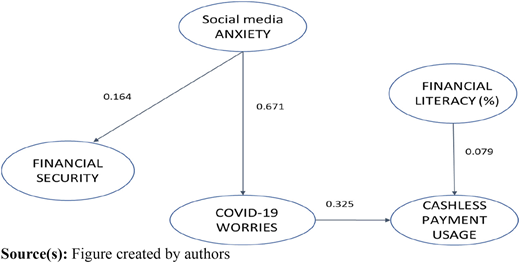 A figure showing arrows linking social media anxiety, financial factors, and cashless payment usage.