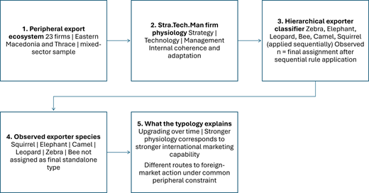 A flowchart illustrating the process of identifying and classifying exporter firms based on their characteristics and strategies.