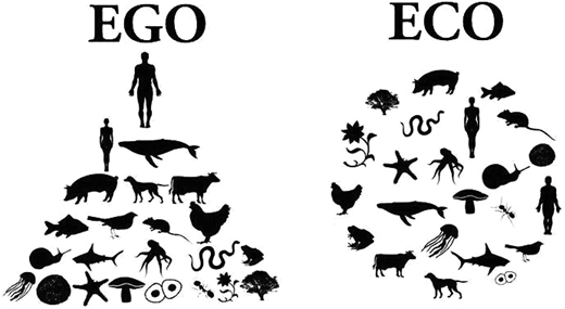 Figure 1. Refer to the image caption for details.