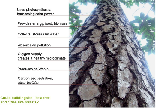 Figure 4. Refer to the image caption for details.