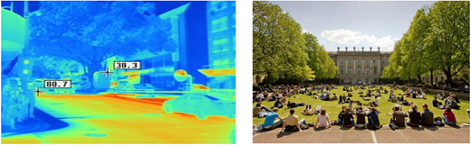 Figure 6. Refer to the image caption for details.