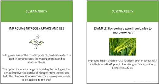 Figure 2. Refer to the image caption for details.