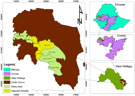 Figure 1. Refer to the image caption for details.