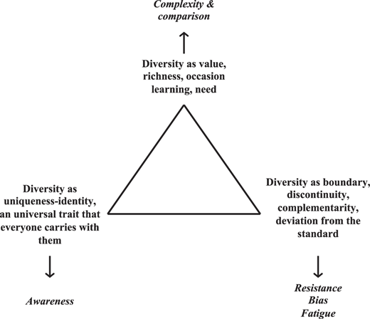 A triangular diagram illustrating three different perspectives on diversity.