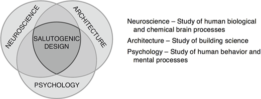 Figure 1. Refer to the image caption for details.