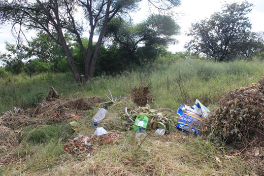 An open grassy area contains scattered waste materials on the ground, such as plastic bottles, and containers among dried plant matter. The area is surrounded by tall grass and several trees.
