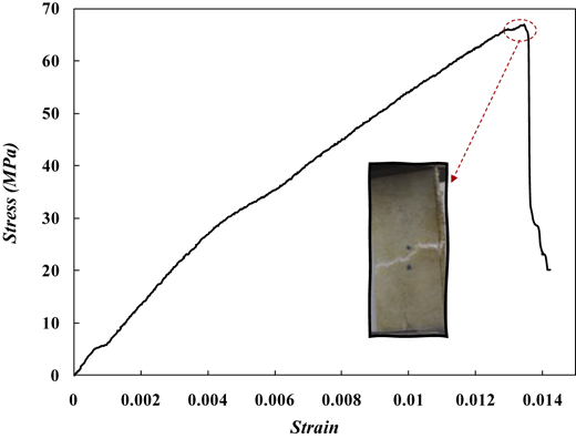 Figure 1 Refer to the image caption for details.