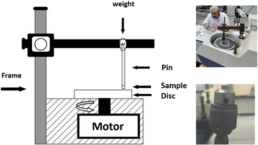 Figure 2 Refer to the image caption for details.