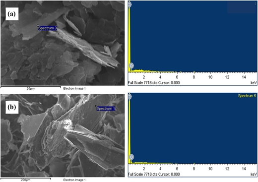 Figure 4 Refer to the image caption for details.