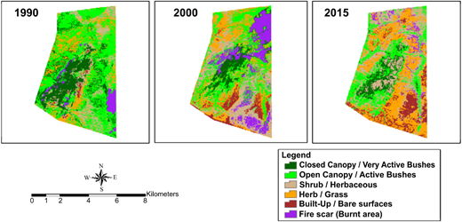 Figure 4 Refer to the image caption for details.
