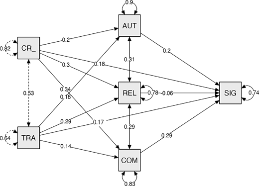 A structural equation model connects transformational and transactional leadership to meaningful work through autonomy, competence, and relatedness with numerical relationships.