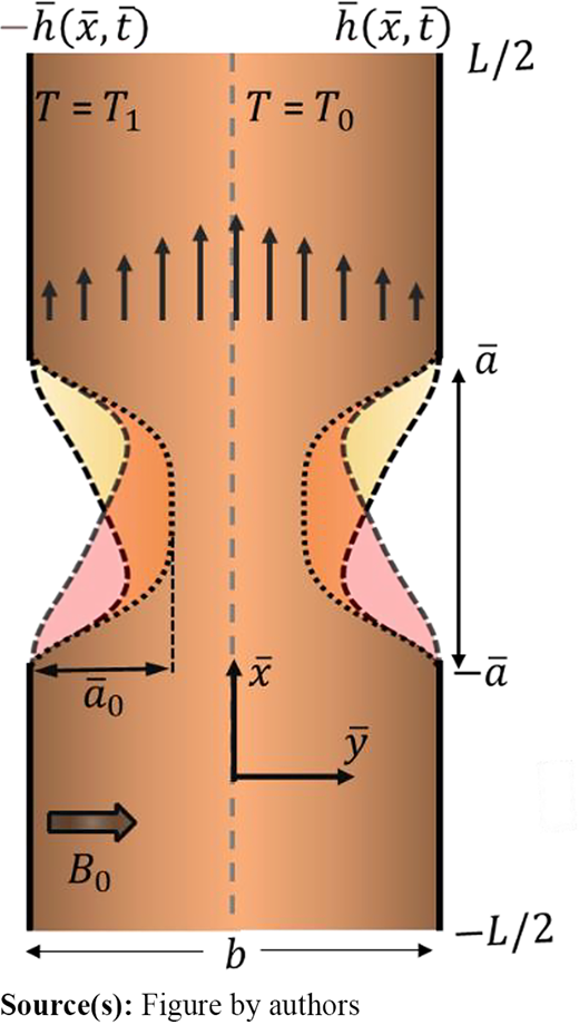 Schematic diagram of propagating membrane-driven viscoelastic fluids flow and heat transfer in presence of transverse magnetic field Refer to the image caption for details.