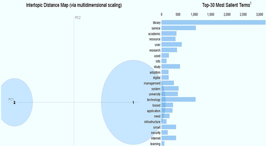 A topic model visual shows 2 intertopic circles and the top 30 salient terms, with library as the longest bar.