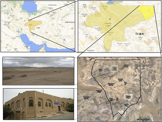 Figure 1 Refer to the image caption for details.