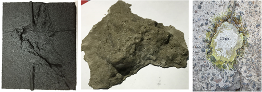 Plate 9 Refer to the image caption for details.