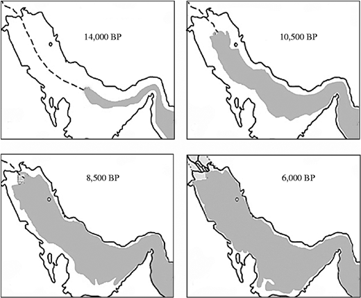 Figure 1 Refer to the image caption for details.