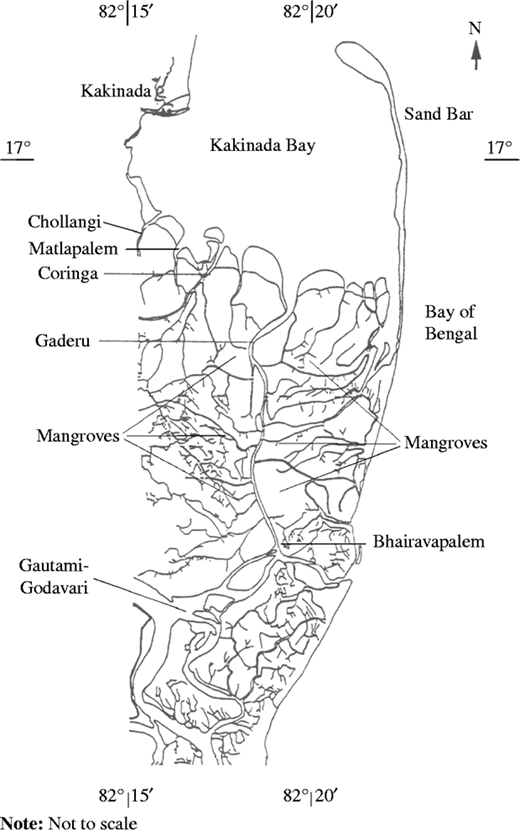 Figure 1 Refer to the image caption for details.