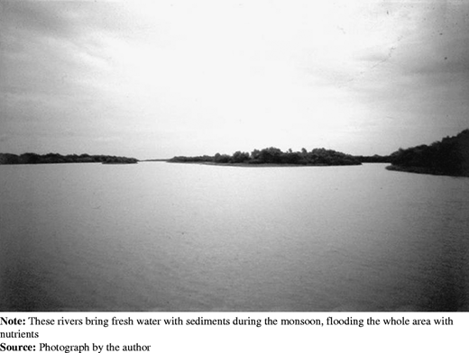 Figure 2 Refer to the image caption for details.