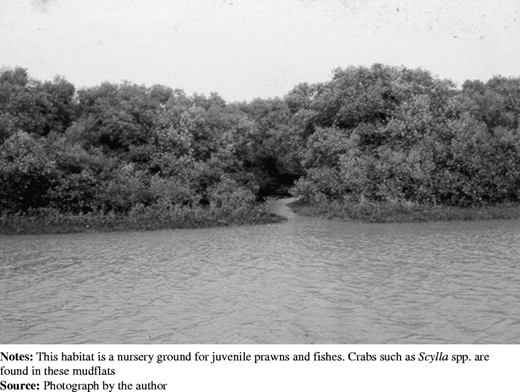 Figure 3 Refer to the image caption for details.