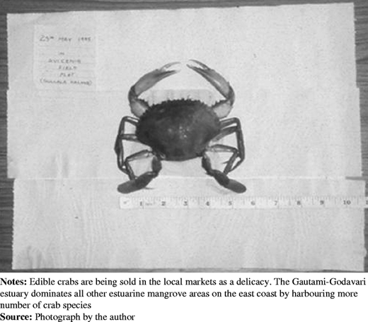 Figure 4 Refer to the image caption for details.