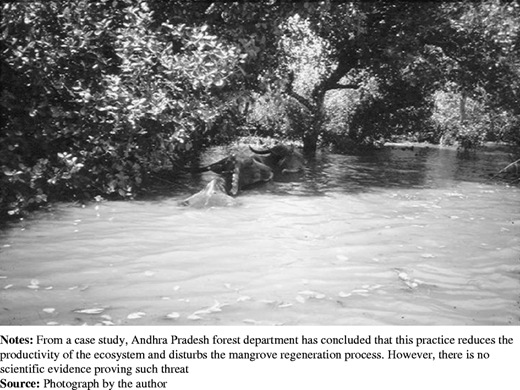 Figure 5 Refer to the image caption for details.