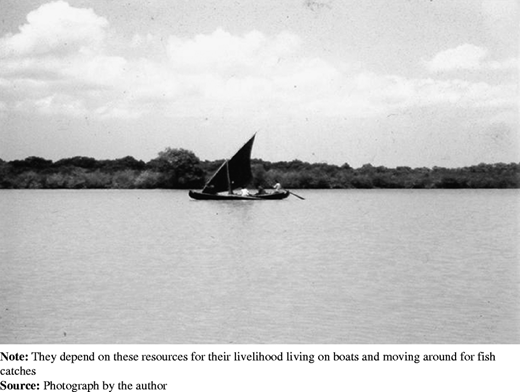 Figure 6 Refer to the image caption for details.
