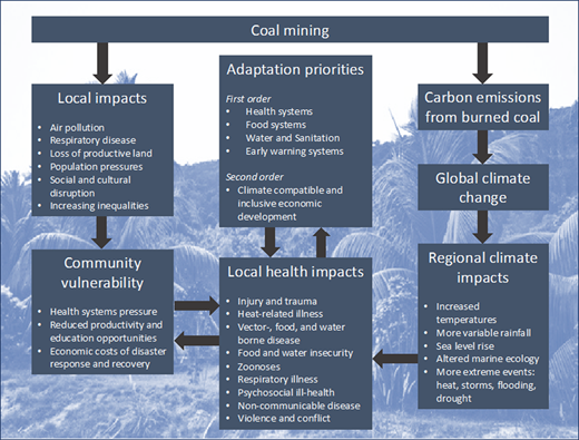 How coal mining affects local health, both directly and through its contribution to climate change, and the role of adaptation priorities in improving community resilience Refer to the image caption for details.