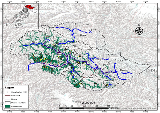 Figure 1. Refer to the image caption for details.