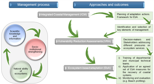 Figure 2. Refer to the image caption for details.