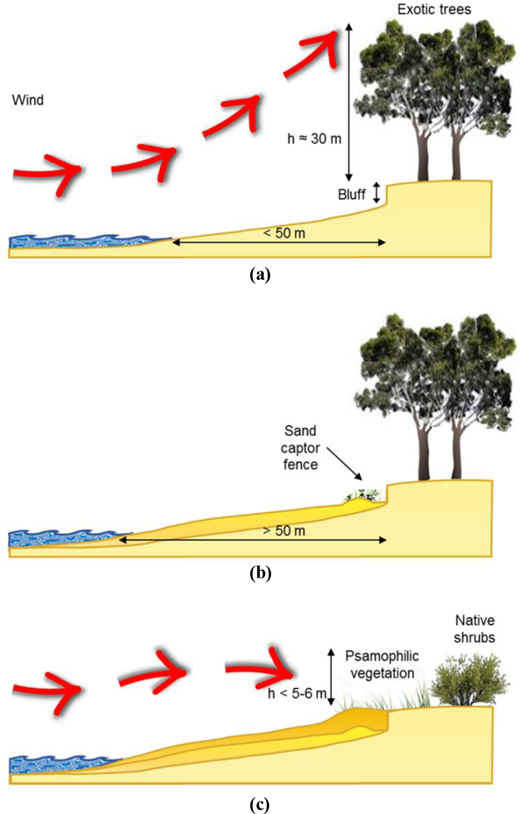 Figure 5. Refer to the image caption for details.