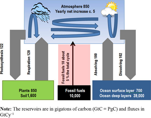 Figure 2. Refer to the image caption for details.