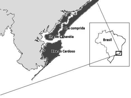 Figure 1. Refer to the image caption for details.