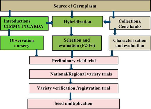 Figure 5. Refer to the image caption for details.