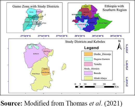 Figure 1. Refer to the image caption for details.