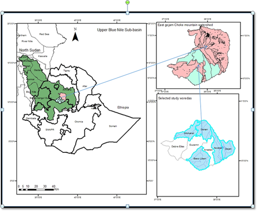 Figure 1. Refer to the image caption for details.