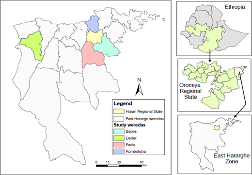 Figure 1. Refer to the image caption for details.