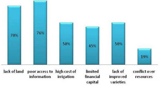 Figure 4. Refer to the image caption for details.