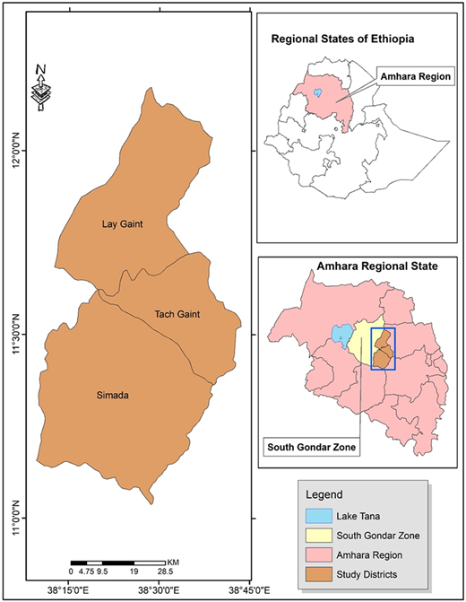 Figure 1. Refer to the image caption for details.