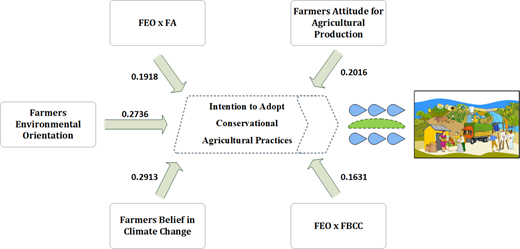 Figure 1. Refer to the image caption for details.