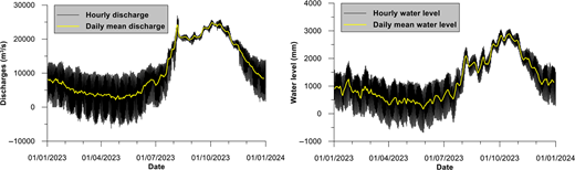 Two graphs compare hourly and daily mean values of discharge and water level from January 2023 to January 2024.