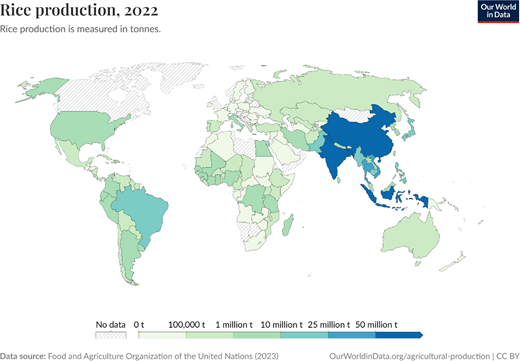 A world map displays rice production in 2022, showing the highest outputs in Asia, particularly China and India.