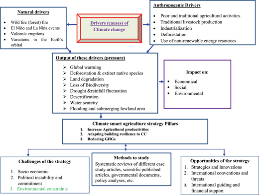 Figure 2. Refer to the image caption for details.