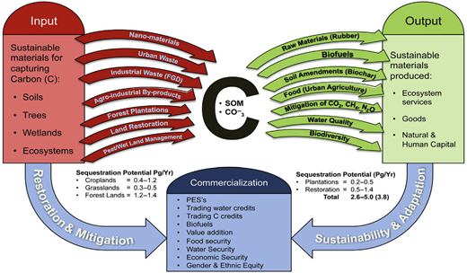 Figure 1. Refer to the image caption for details.