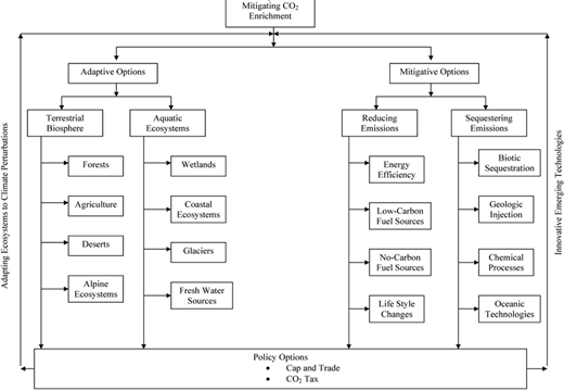 Figure 2. Refer to the image caption for details.